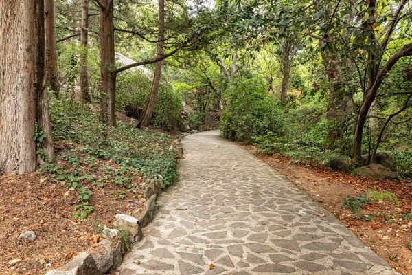 Stone Walkway Repair in Roswell