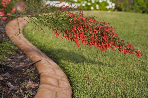 Brick Edging in Roswell