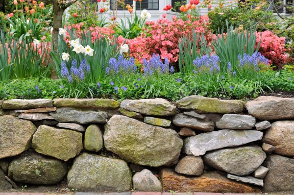 Stone Wall Hardscaping in Roswell