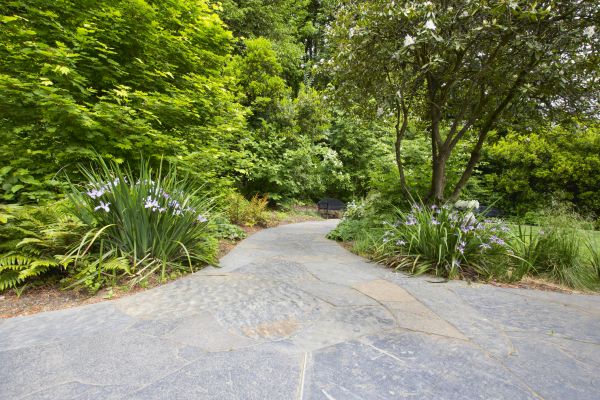 Stone Hardscape Service in Roswell