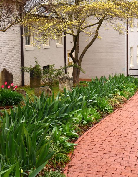 Brick Flatwork Repair in Roswell